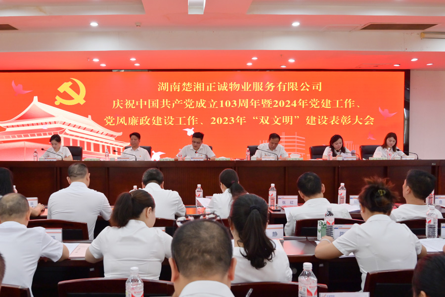 黨建引領風帆勁  砥礪前行闊步走