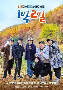 歌声飞扬 封面